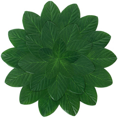 Jogo americano lica verde 42cm